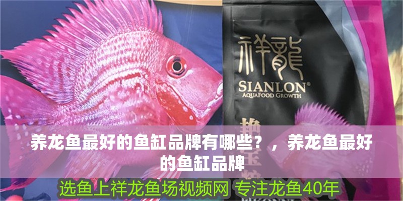 養(yǎng)龍魚最好的魚缸品牌有哪些？，養(yǎng)龍魚最好的魚缸品牌