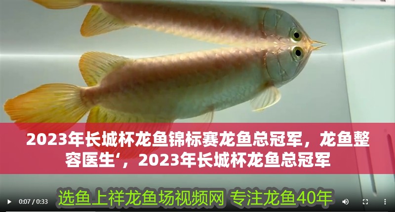 2023年長城杯龍魚錦標賽龍魚總冠軍，龍魚整容醫生‘，2023年長城杯龍魚總冠軍