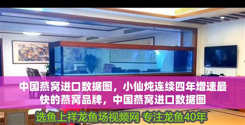 中國燕窩進口數據圖，小仙燉連續四年增速最快的燕窩品牌，中國燕窩進口數據圖