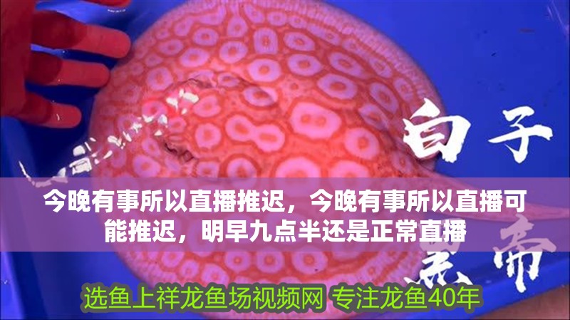 今晚有事所以直播推遲，今晚有事所以直播可能推遲，明早九點半還是正常直播