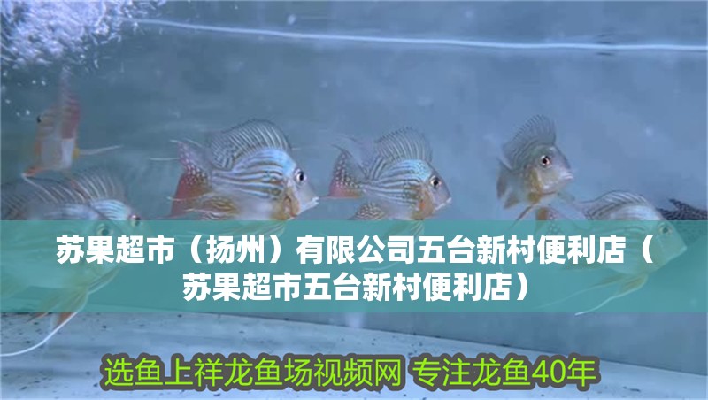 蘇果超市（揚(yáng)州）有限公司五臺新村便利店（蘇果超市五臺新村便利店）