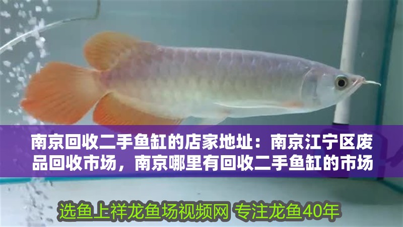 南京回收二手魚缸的店家地址：南京江寧區廢品回收市場，南京哪里有回收二手魚缸的市場