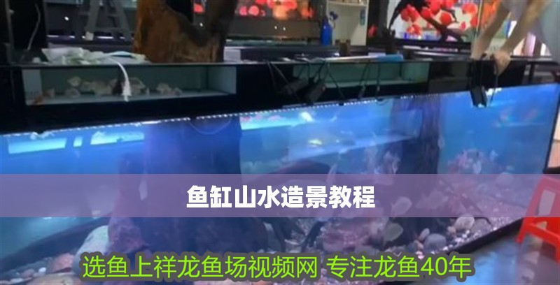 魚缸山水造景教程