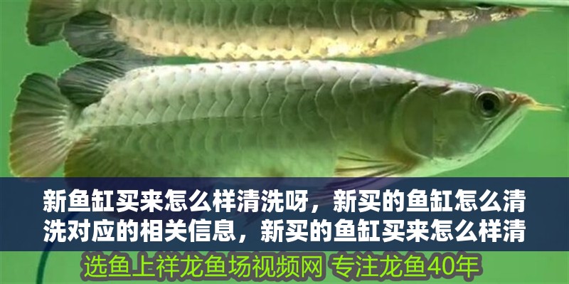 新魚缸買來怎么樣清洗呀，新買的魚缸怎么清洗對應的相關信息，新買的魚缸買來怎么樣清洗新魚缸買來怎么樣清洗呀
