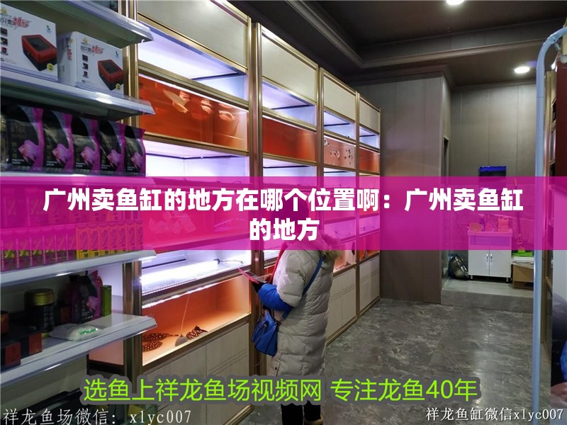 廣州賣魚缸的地方在哪個位置啊：廣州賣魚缸的地方