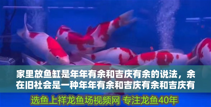 家里放魚缸是年年有余和吉慶有余的說法，余在舊社會是一種年年有余和吉慶有余和吉慶有余的說法