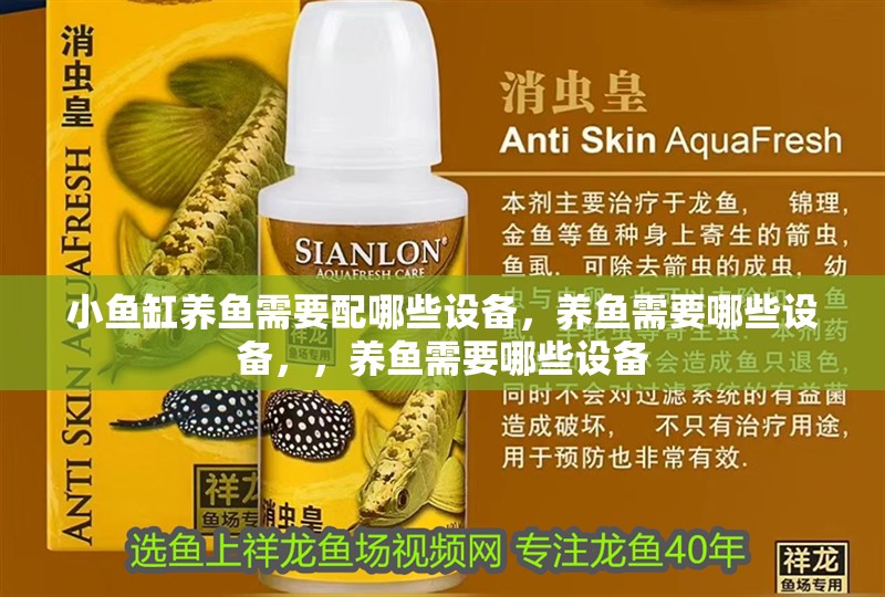 小魚(yú)缸養(yǎng)魚(yú)需要配哪些設(shè)備，養(yǎng)魚(yú)需要哪些設(shè)備，，養(yǎng)魚(yú)需要哪些設(shè)備