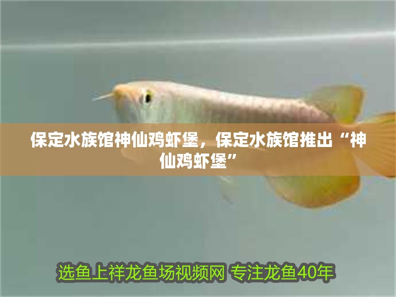 保定水族館神仙雞蝦堡，保定水族館推出“神仙雞蝦堡”