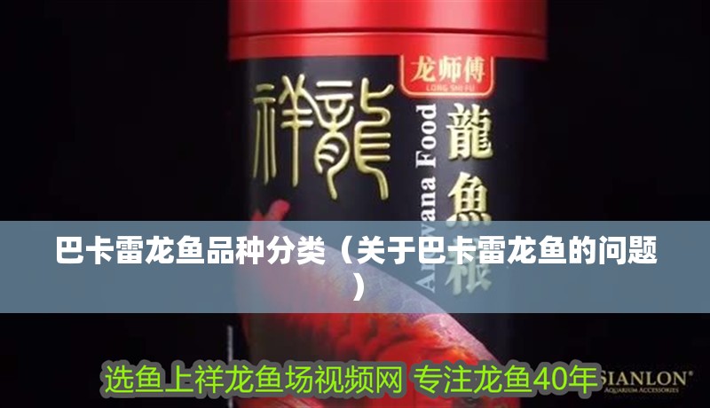 巴卡雷龍魚品種分類（關于巴卡雷龍魚的問題）