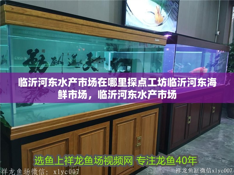 臨沂河?xùn)|水產(chǎn)市場(chǎng)在哪里探點(diǎn)工坊臨沂河?xùn)|海鮮市場(chǎng)，臨沂河?xùn)|水產(chǎn)市場(chǎng)