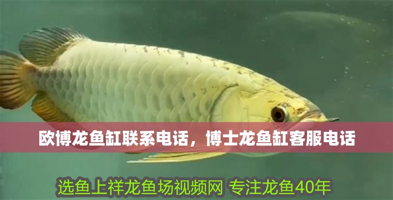 歐博龍魚缸聯系電話，博士龍魚缸客服電話