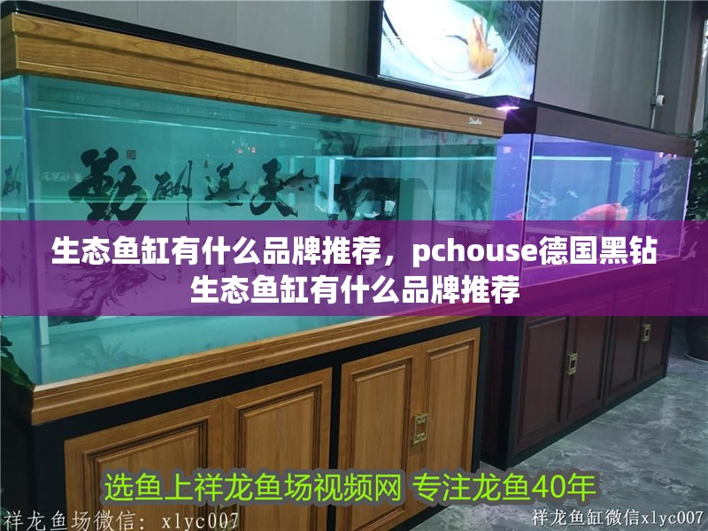 生態魚缸有什么品牌推薦，pchouse德國黑鉆生態魚缸有什么品牌推薦