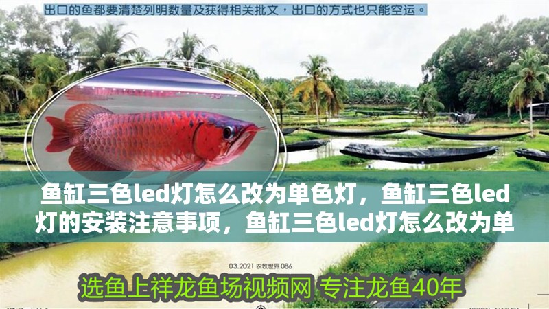魚缸三色led燈怎么改為單色燈，魚缸三色led燈的安裝注意事項，魚缸三色led燈怎么改為單色燈