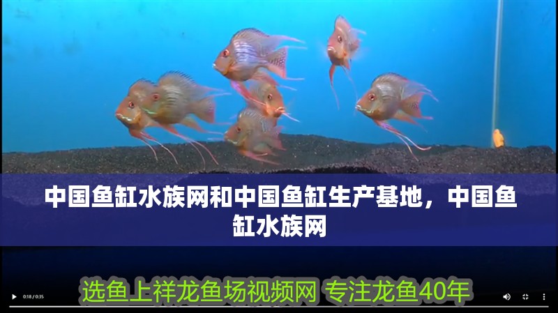 中國魚缸水族網和中國魚缸生產基地，中國魚缸水族網