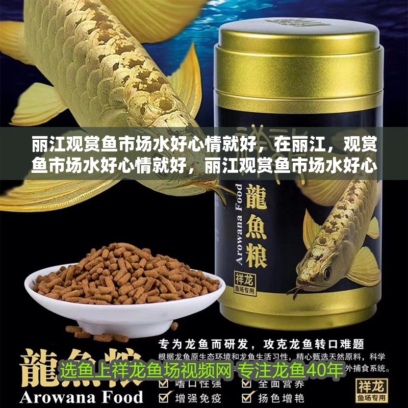 麗江觀賞魚市場水好心情就好，在麗江，觀賞魚市場水好心情就好，麗江觀賞魚市場水好心情就好，在麗江