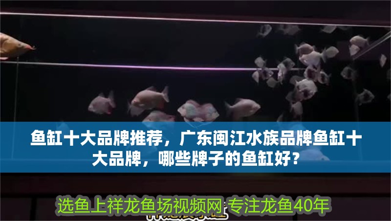 魚缸十大品牌推薦，廣東閩江水族品牌魚缸十大品牌，哪些牌子的魚缸好？