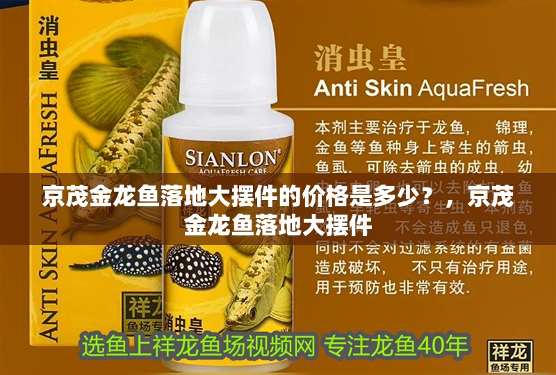 京茂金龍魚落地大擺件的價格是多少？，京茂金龍魚落地大擺件
