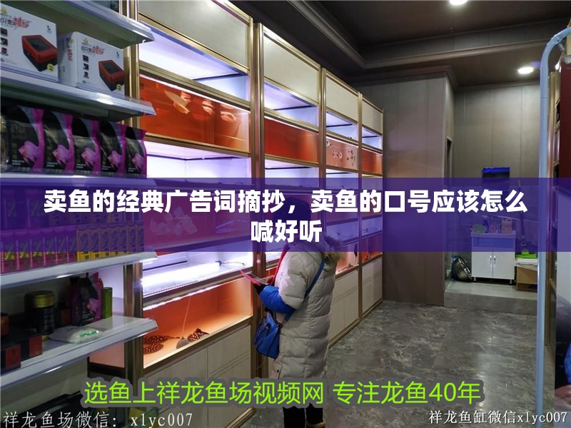 賣魚的經典廣告詞摘抄，賣魚的口號應該怎么喊好聽 賣魚的經典廣告詞摘抄，賣魚的口號應該怎么喊好聽 觀賞魚百科 第2張