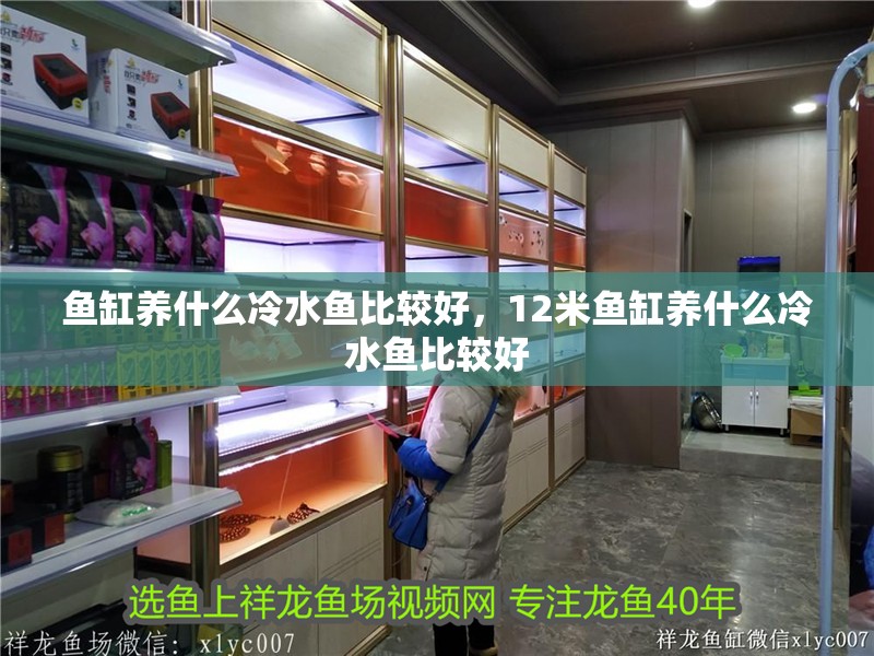 魚缸養什么冷水魚比較好，12米魚缸養什么冷水魚比較好