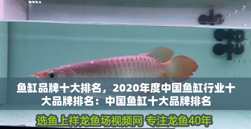 魚缸品牌十大排名，2020年度中國魚缸行業十大品牌排名：中國魚缸十大品牌排名 魚缸品牌十大排名，2020年度中國魚缸行業十大品牌排名：中國魚缸十大品牌排名 觀賞魚百科