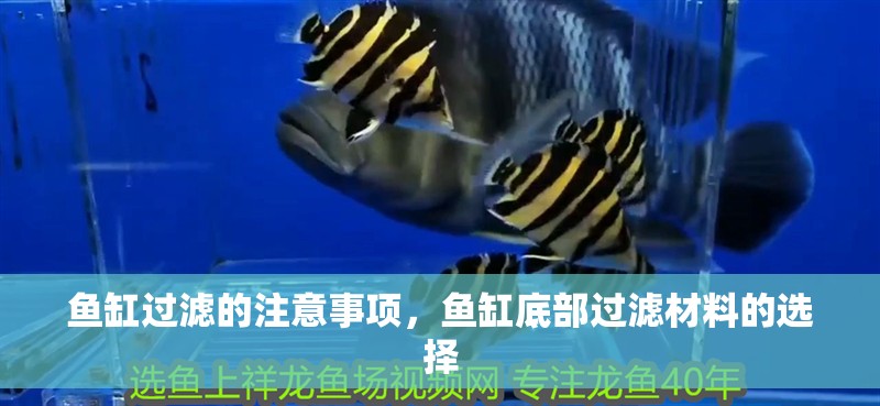 魚缸過濾的注意事項，魚缸底部過濾材料的選擇