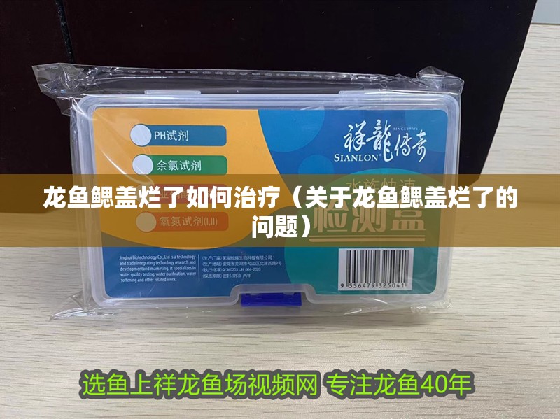 龍魚鰓蓋爛了如何治療（關于龍魚鰓蓋爛了的問題） 龍魚鰓蓋爛了如何治療（關于龍魚鰓蓋爛了的問題） 觀賞魚百科 第2張