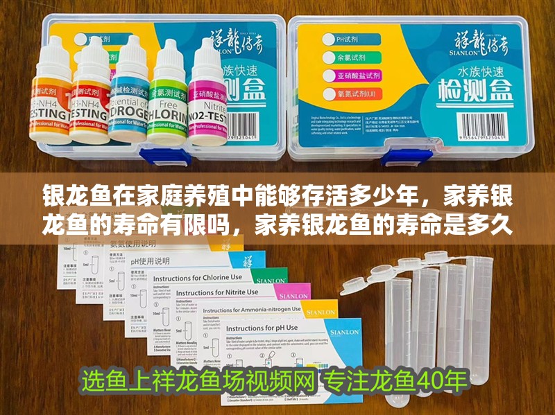 銀龍魚在家庭養殖中能夠存活多少年，家養銀龍魚的壽命有限嗎，家養銀龍魚的壽命是多久？