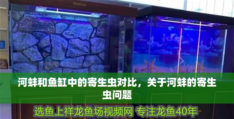 河蚌和魚(yú)缸中的寄生蟲(chóng)對(duì)比，關(guān)于河蚌的寄生蟲(chóng)問(wèn)題