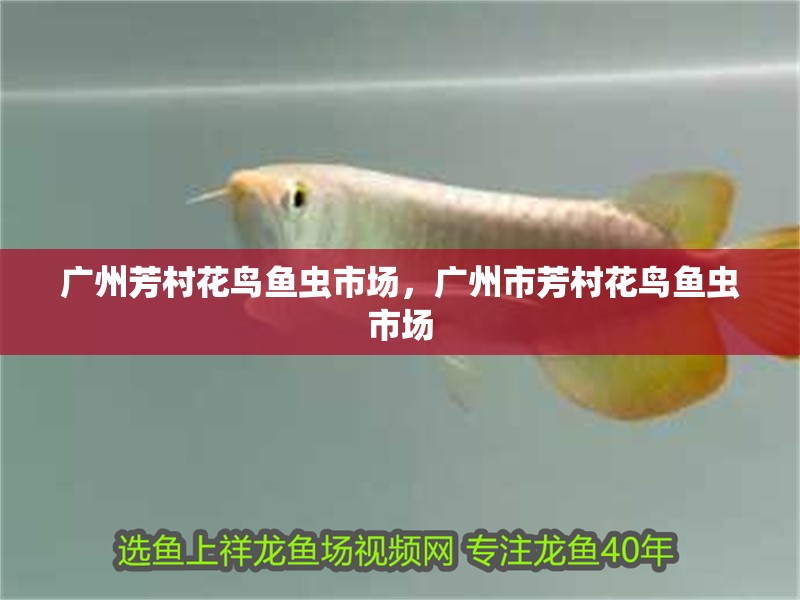 廣州芳村花鳥魚蟲市場，廣州市芳村花鳥魚蟲市場