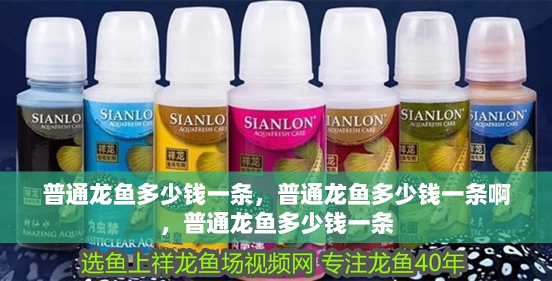 普通龍魚多少錢一條，普通龍魚多少錢一條啊，普通龍魚多少錢一條