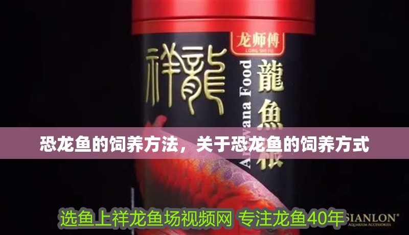 恐龍魚的飼養方法，關于恐龍魚的飼養方式