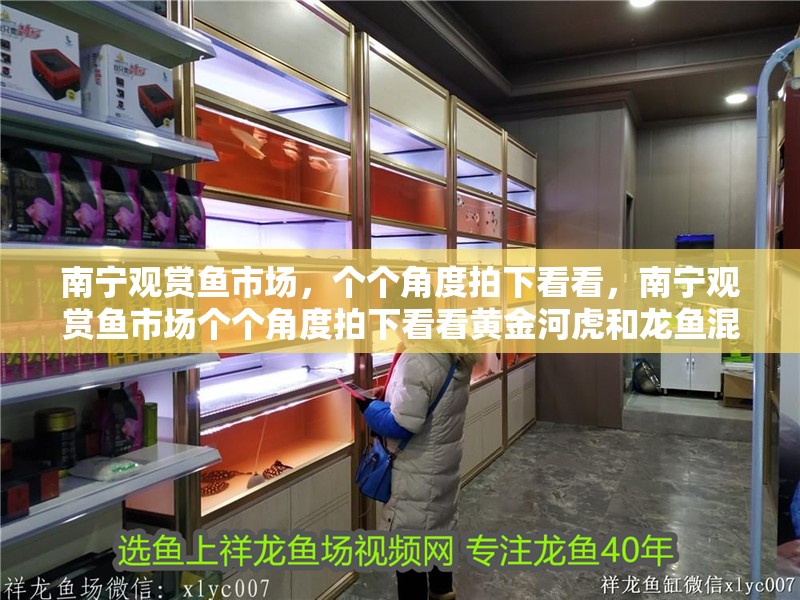 南寧觀賞魚市場，個(gè)個(gè)角度拍下看看，南寧觀賞魚市場個(gè)個(gè)角度拍下看看黃金河虎和龍魚混養(yǎng)嗎