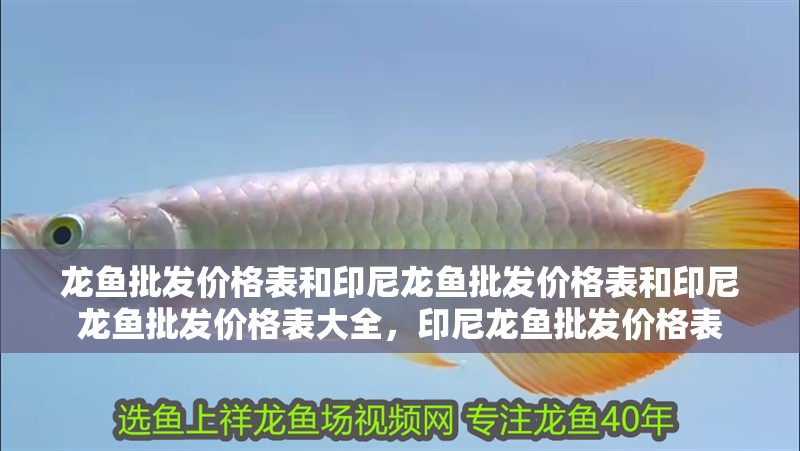 龍魚批發(fā)價格表和印尼龍魚批發(fā)價格表和印尼龍魚批發(fā)價格表大全，印尼龍魚批發(fā)價格表 龍魚批發(fā)價格表和印尼龍魚批發(fā)價格表和印尼龍魚批發(fā)價格表大全，印尼龍魚批發(fā)價格表 觀賞魚百科