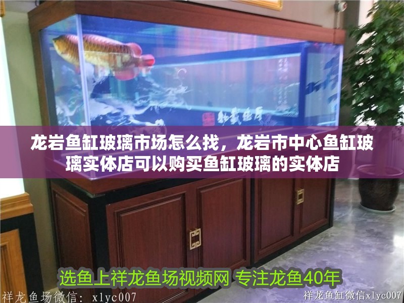 龍巖魚缸玻璃市場怎么找，龍巖市中心魚缸玻璃實體店可以購買魚缸玻璃的實體店