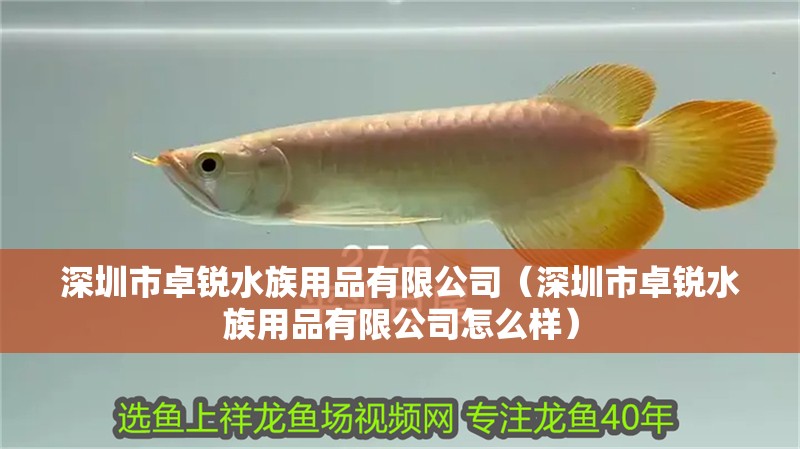 深圳市卓銳水族用品有限公司（深圳市卓銳水族用品有限公司怎么樣）