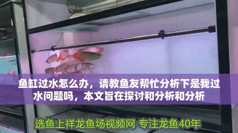 魚缸過水怎么辦，請教魚友幫忙分析下是我過水問題嗎，本文旨在探討和分析和分析