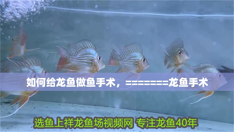 如何給龍魚做魚手術，=======龍魚手術