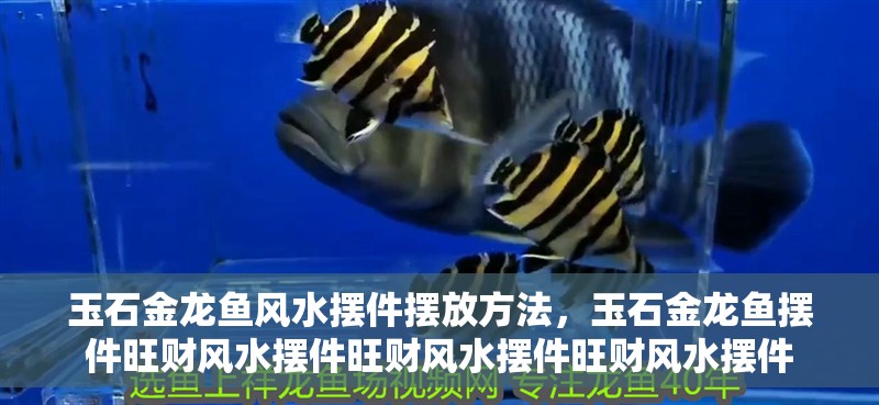 玉石金龍魚風(fēng)水擺件擺放方法，玉石金龍魚擺件旺財風(fēng)水擺件旺財風(fēng)水擺件旺財風(fēng)水擺件 玉石金龍魚風(fēng)水擺件擺放方法，玉石金龍魚擺件旺財風(fēng)水擺件旺財風(fēng)水擺件旺財風(fēng)水擺件 觀賞魚百科 第2張