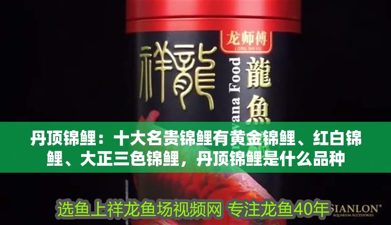 丹頂錦鯉：十大名貴錦鯉有黃金錦鯉、紅白錦鯉、大正三色錦鯉，丹頂錦鯉是什么品種 丹頂錦鯉：十大名貴錦鯉有黃金錦鯉、紅白錦鯉、大正三色錦鯉，丹頂錦鯉是什么品種 觀賞魚百科 第3張