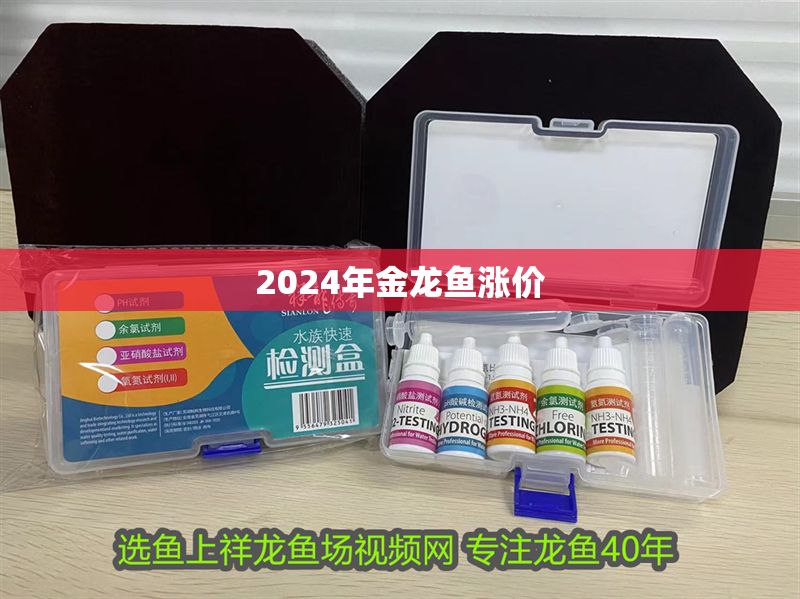 2024年金龍魚漲價(jià)