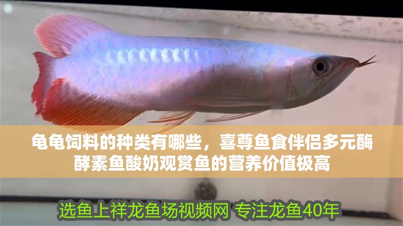 龜龜飼料的種類有哪些，喜尊魚食伴侶多元酶酵素魚酸奶觀賞魚的營養價值極高