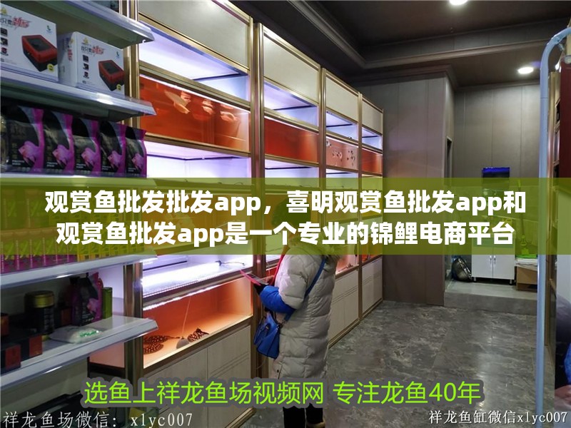 觀賞魚批發批發app，喜明觀賞魚批發app和觀賞魚批發app是一個專業的錦鯉電商平臺 觀賞魚批發批發app，喜明觀賞魚批發app和觀賞魚批發app是一個專業的錦鯉電商平臺 觀賞魚百科 第2張