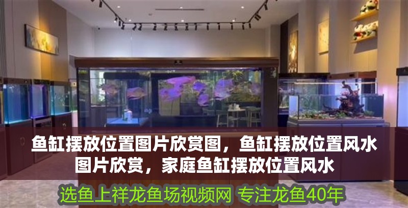 魚缸擺放位置圖片欣賞圖，魚缸擺放位置風水圖片欣賞，家庭魚缸擺放位置風水