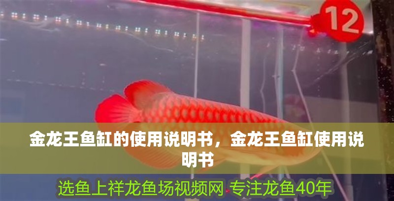 金龍王魚缸的使用說明書，金龍王魚缸使用說明書