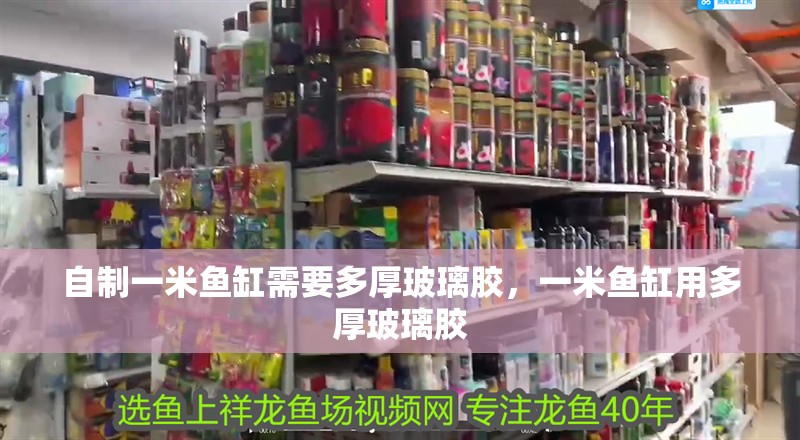 自制一米魚缸需要多厚玻璃膠，一米魚缸用多厚玻璃膠 自制一米魚缸需要多厚玻璃膠，一米魚缸用多厚玻璃膠 觀賞魚百科 第4張
