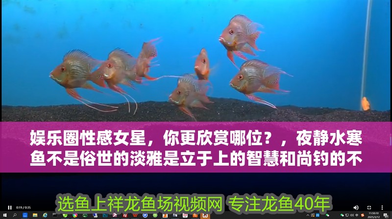 娛樂圈性感女星，你更欣賞哪位？，夜靜水寒魚不是俗世的淡雅是立于上的智慧和尚釣的不是魚