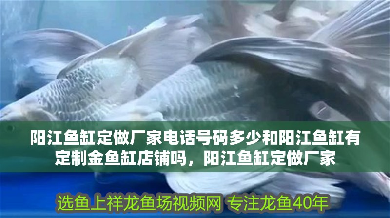 陽江魚缸定做廠家電話號碼多少和陽江魚缸有定制金魚缸店鋪嗎，陽江魚缸定做廠家