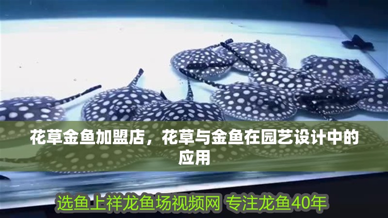 花草金魚加盟店，花草與金魚在園藝設計中的應用