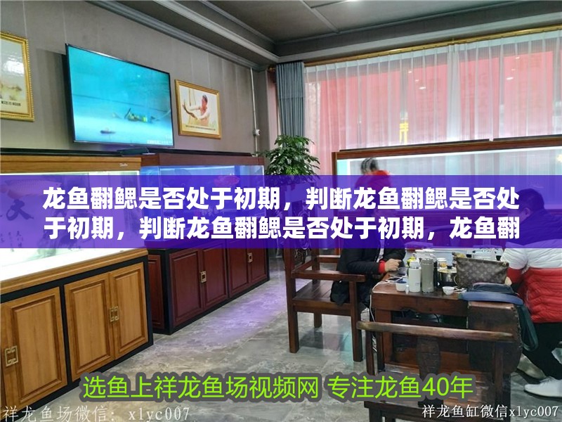 龍魚翻鰓是否處于初期，判斷龍魚翻鰓是否處于初期，判斷龍魚翻鰓是否處于初期，龍魚翻鰓是否處于初期