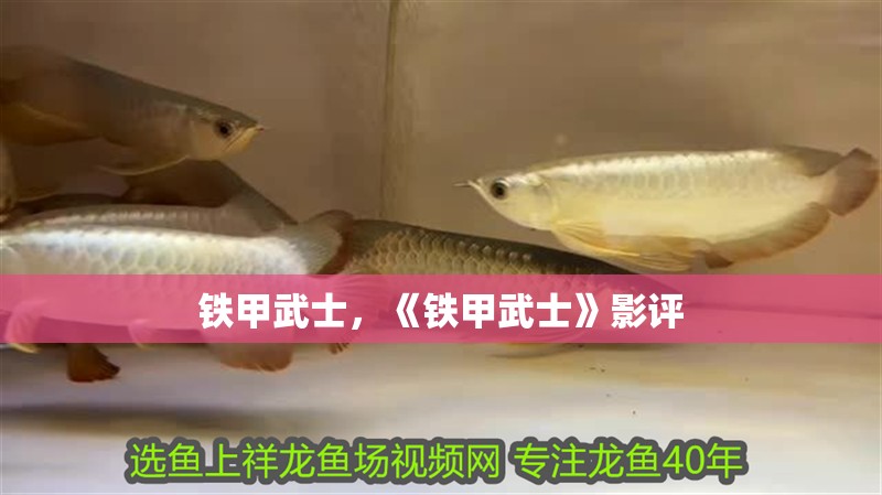 鐵甲武士，《鐵甲武士》影評 鐵甲武士，《鐵甲武士》影評 觀賞魚百科